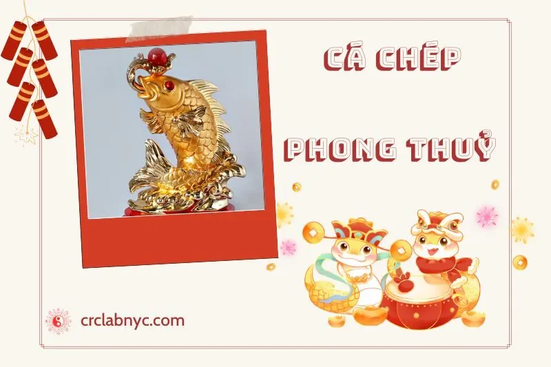 Cá Chép phong thủy hợp mệnh nào