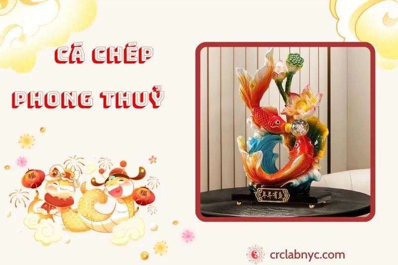 Cá Chép phong thuỷ ý ngahĩa công dụng và cách bày trí