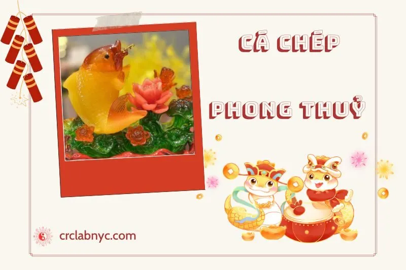 Cách Đặt Cá Chép phong thuỷ chuẩn