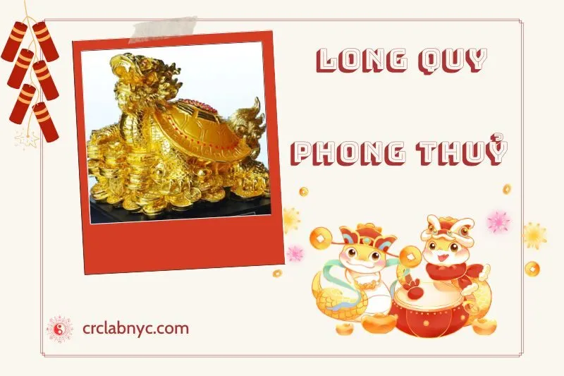 Cách Đặt Long Quy phong thuỷ chuẩn