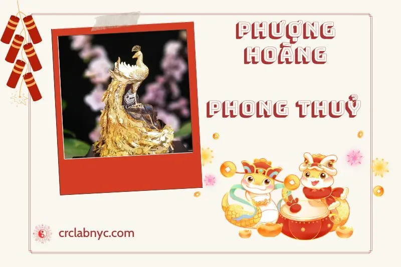 Cách Đặt Phượng Hoàng phong thuỷ chuẩn