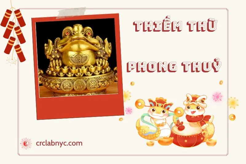 Cách Đặt Thiềm Thừ phong thuỷ chuẩn