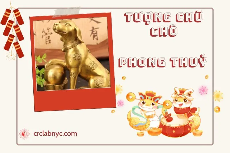 Cách Đặt Tượng Chú Chó phong thuỷ chuẩn