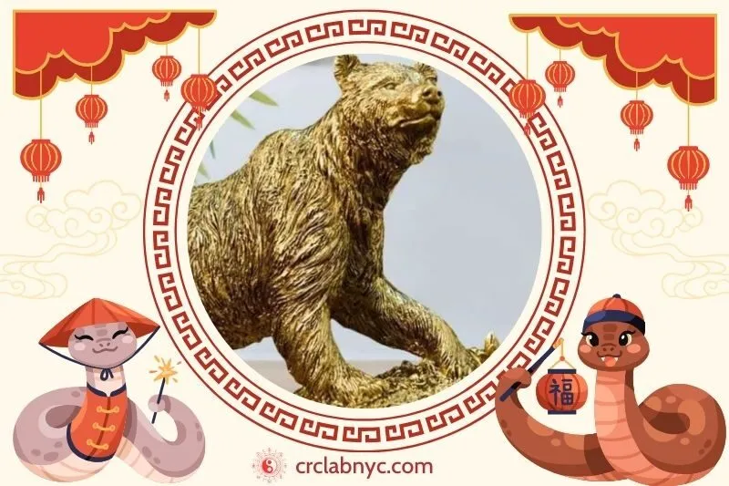  Cách Đặt Tượng Gấu phong thuỷ chuẩn