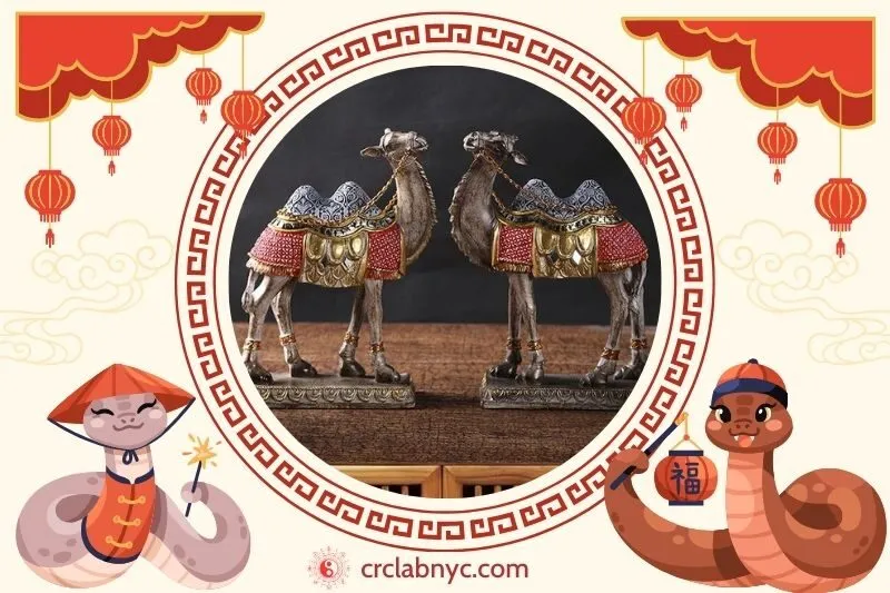  Cách Đặt Tượng Lạc Đà phong thuỷ chuẩn