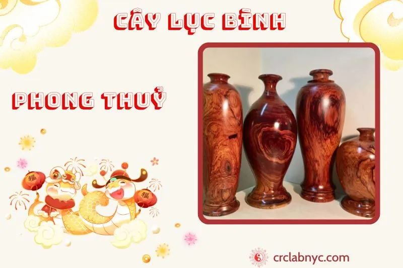 Cây lục bình ý nghĩa công dụng và cách trồng