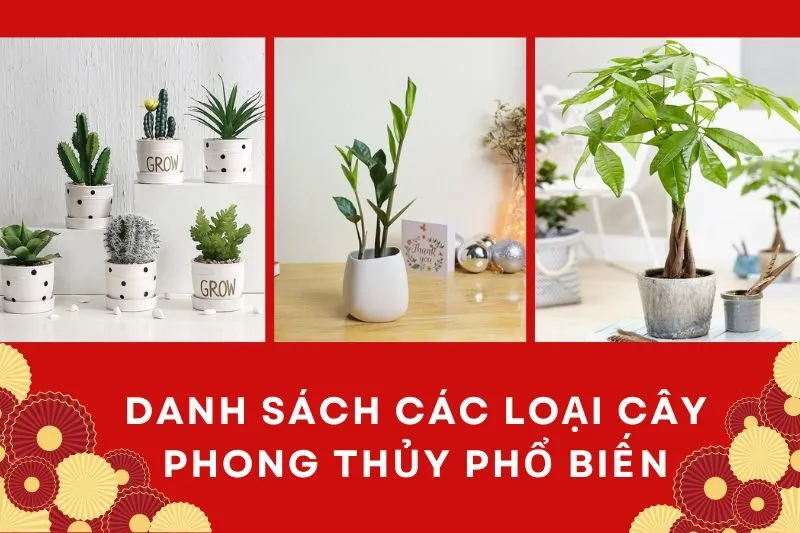 Danh sách các loại cây phong thủy phổ biến