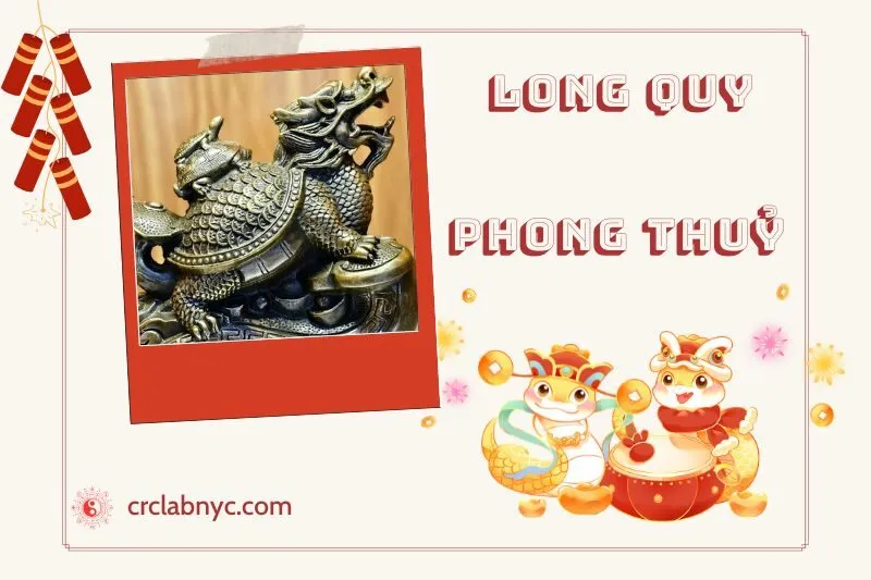 Long Quy phong thuỷ hợp mệnh nào