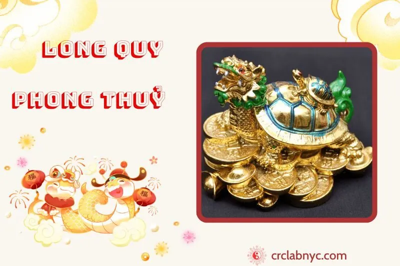 Long Quy phong thuỷ ý nghĩa công dụng và cách bày trí