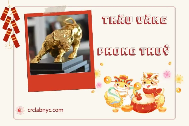 Trâu Vàng phong thuỷ hợp mệnh nào