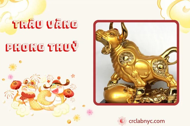 Trâu Vàng phong thuỷ ý nghĩa công dụng và cách bày trí