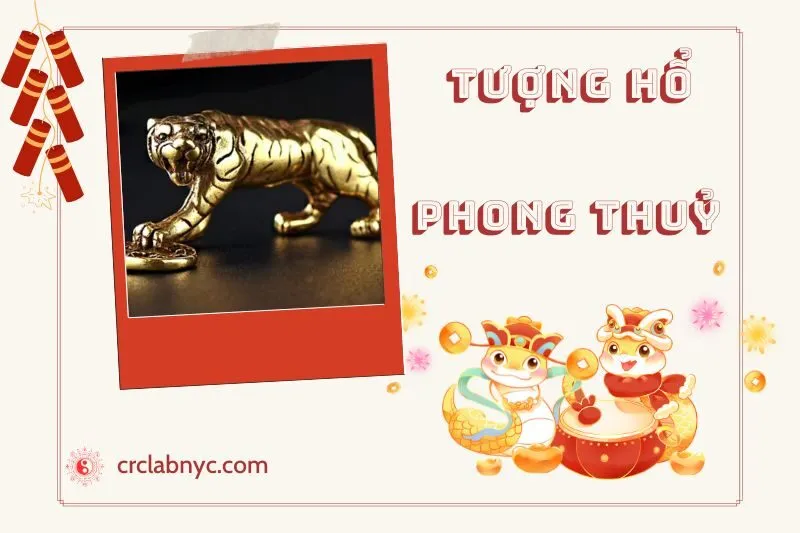 Tượng hổ phong thủy hợp mệnh nào