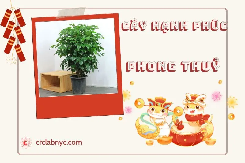Ý nghĩa của Cây Hạnh Phúc Phong Thuỷ