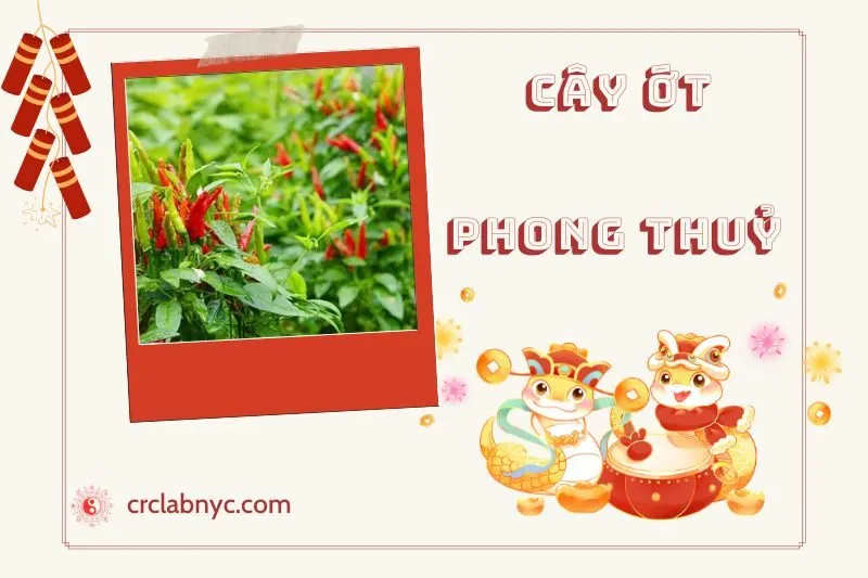 Ý nghĩa của Cây Ớt Phong Thủy