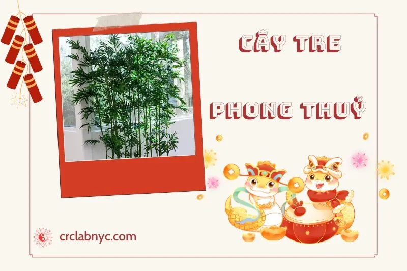 Ý nghĩa của Cây Tre Phong Thủy