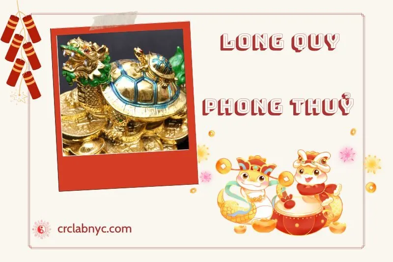 Ý nghĩa của Long Quy phong thuỷ