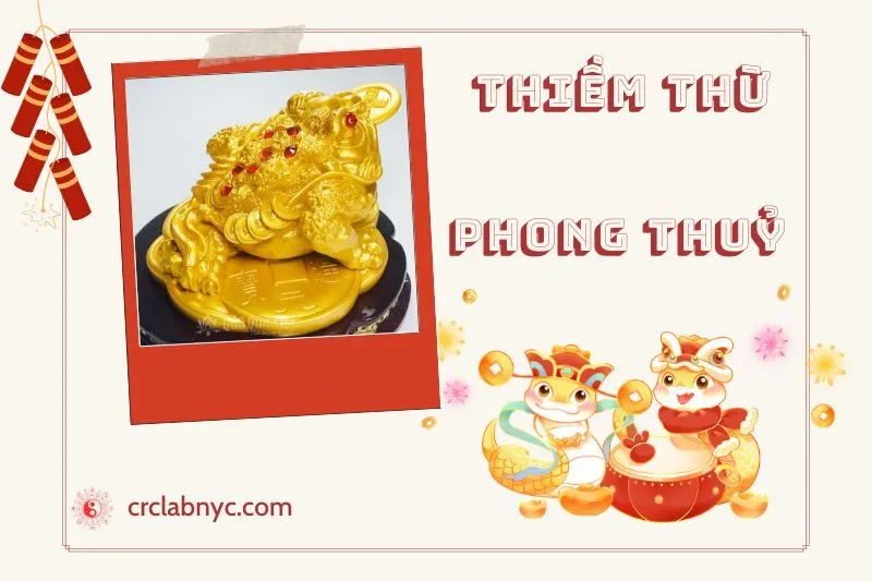 Ý nghĩa của Thiềm Thừ Phong Thuỷ