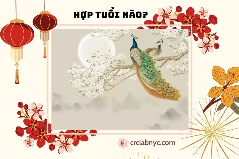 Tranh Chim Công Hợp Tuổi Nào, Mệnh Nào?