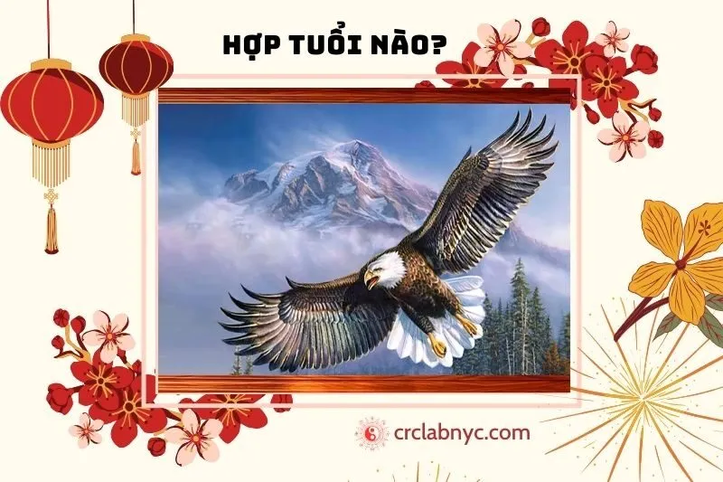 Tranh Đại Bàng Hợp Tuổi Nào, Mệnh Nào?